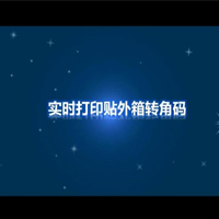 自動貼標(biāo)機(jī)實時打印貼外箱轉(zhuǎn)角碼視頻